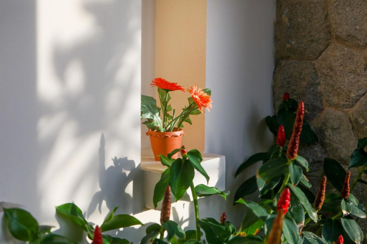 Ban Karon Prima Villas Karon Phuket מראה חיצוני תמונה